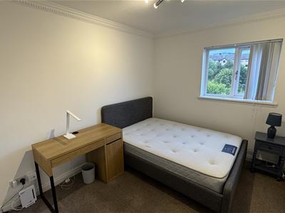 Picture 12